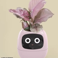Ivy Smart Planter,Endless Fun Over 49 Rich Expressions,7 Smart Sensors,AI Chips Make Raising Plants Easy and Fun