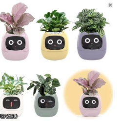 Ivy Smart Planter,Endless Fun Over 49 Rich Expressions,7 Smart Sensors,AI Chips Make Raising Plants Easy and Fun