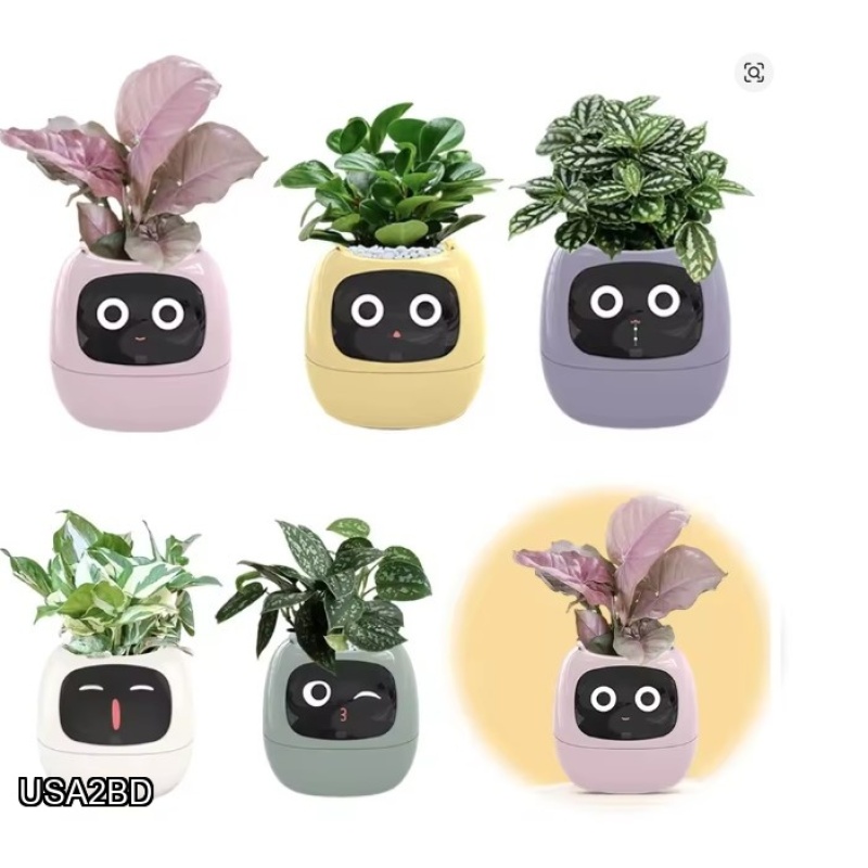 Ivy Smart Planter,Endless Fun Over 49 Rich Expressions,7 Smart Sensors,AI Chips Make Raising Plants Easy and Fun